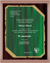 01-musil50.jpg