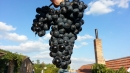 20130928_162546.jpeg