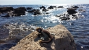 umag_2014_(27).jpeg