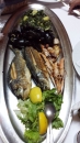 umag_2014_(41).jpeg