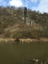 robert_50_(26).jpeg
