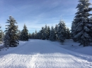 krkonose_2016_(41).jpeg