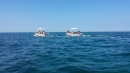 umag_2016_(38).jpeg