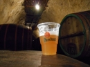 plzen_2014_(43).jpeg
