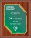 01_Stafik_30_let.jpg