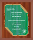 01_Pohynko_45_plaketka.jpg