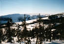 thumb_05_Krkonose.jpg