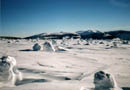 thumb_06_Krkonose.jpg