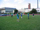 thumb_02_Frankie_8-2.jpg