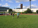 thumb_05_Frankie_8-2.jpg