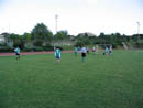 thumb_07_Frankie_8-2.jpg