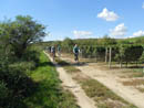 DSCN2657.JPG