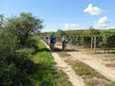 DSCN2660.JPG