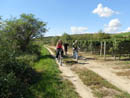 DSCN2662.JPG
